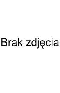 Popularne drapaki i legowiska dla kotów